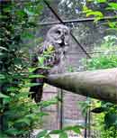 Zoo de Lille